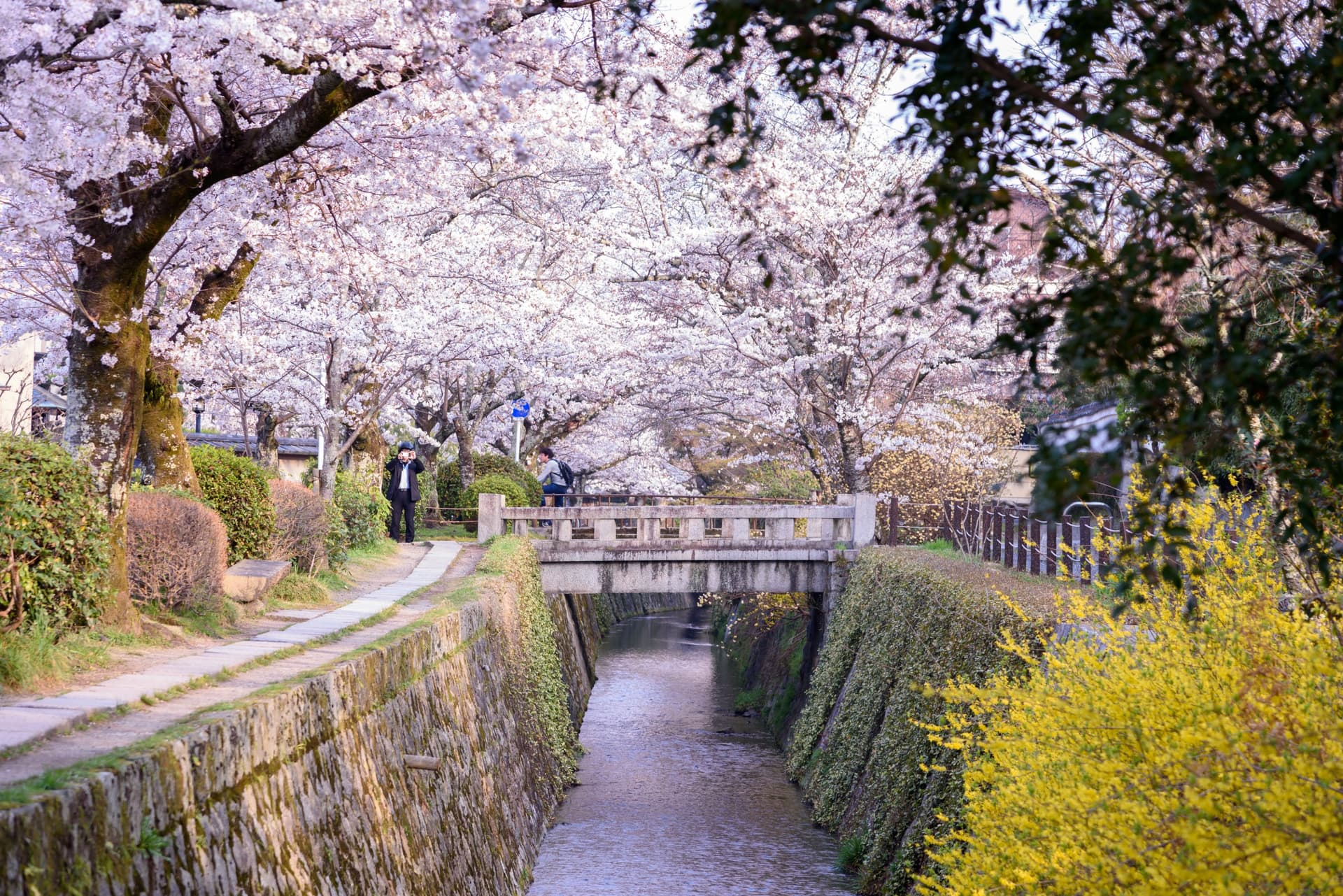 Japan, an island with a thousand facets