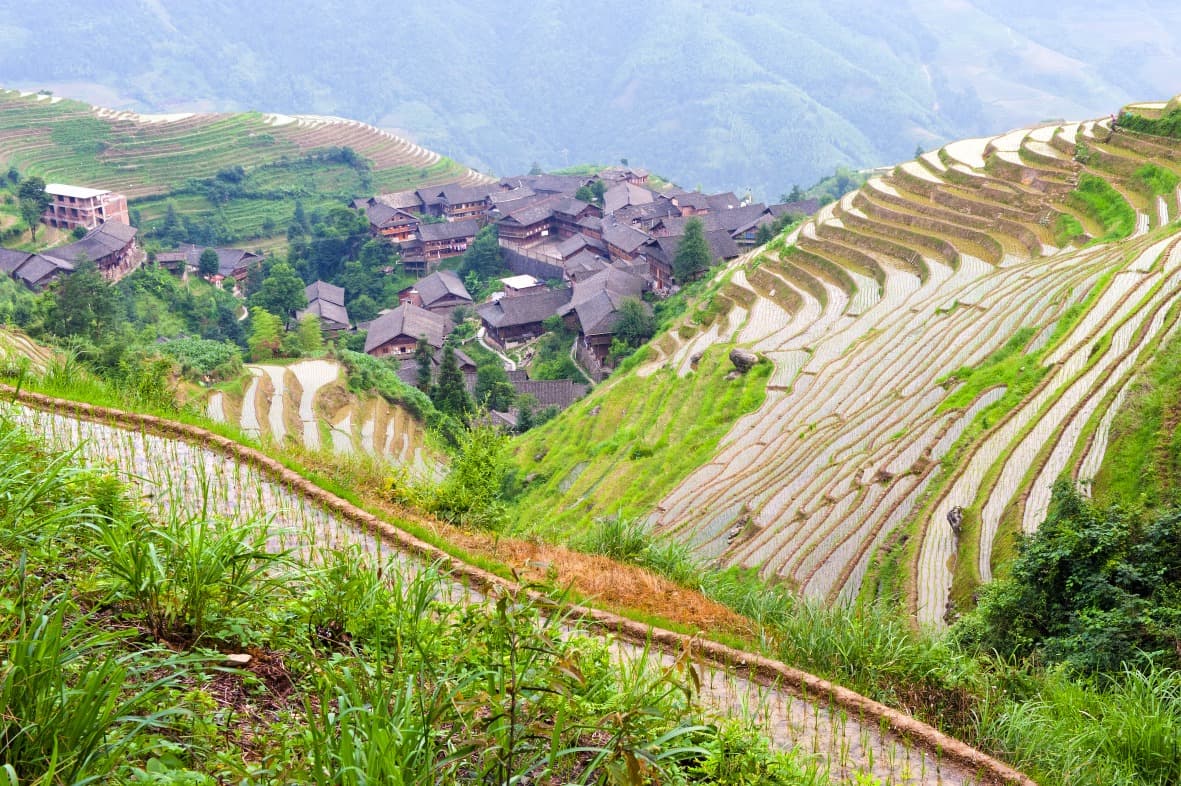 The Essentials of Chine