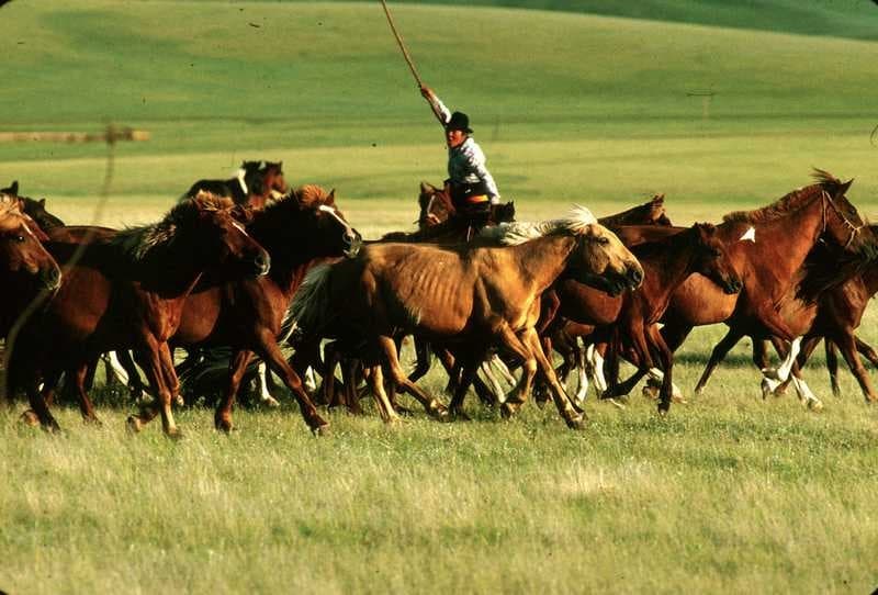 Wonders of Mongolia
