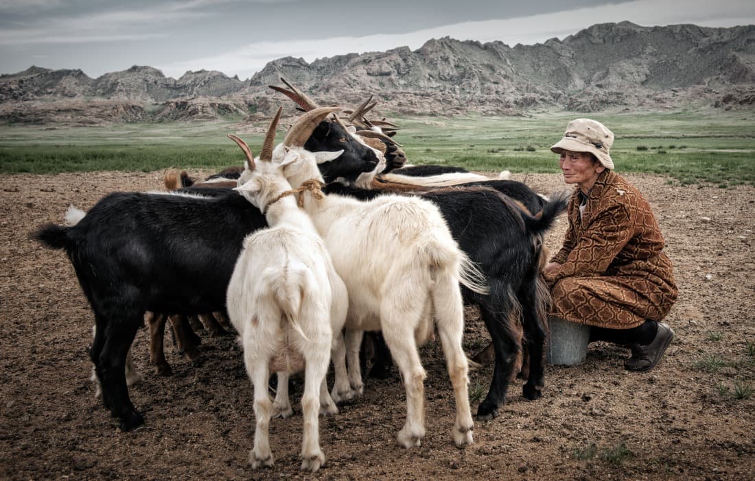 Nomadic Journey through Central Mongolia