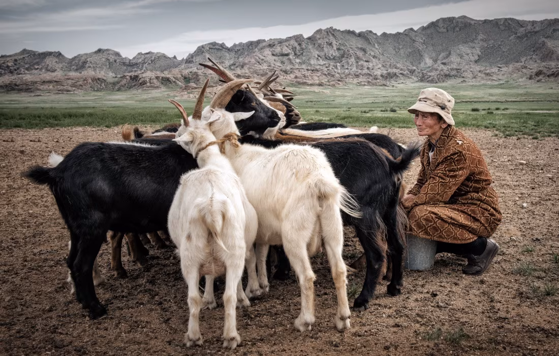 Nomadic Journey through Central Mongolia