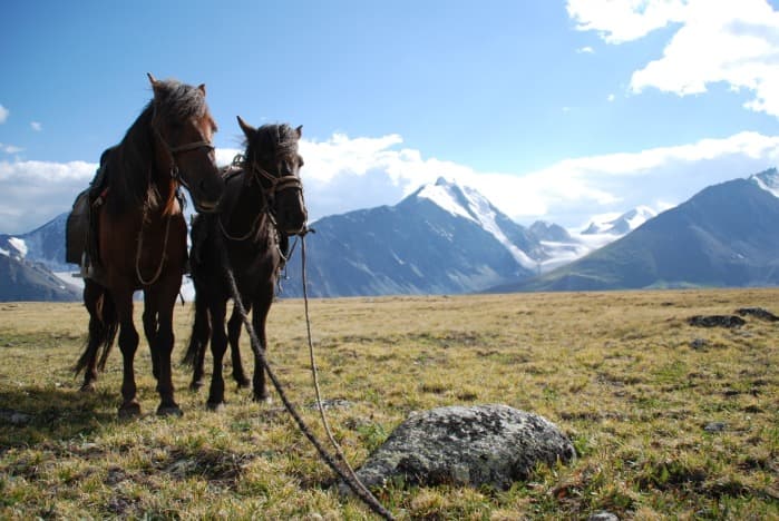 Altai Horseback Ride