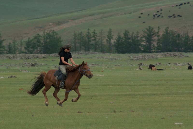 Orkhon Horseback Riding