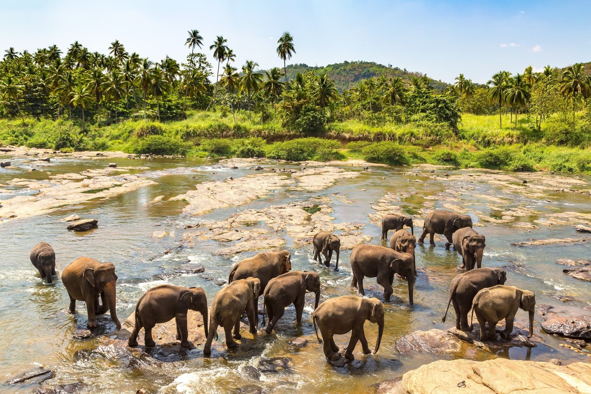The beauties of Sri Lanka as a family