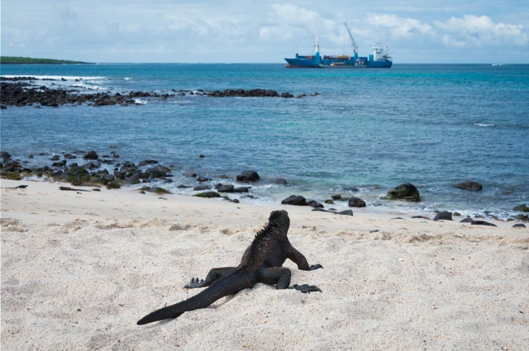 From Santa Cruz to San Cristobal