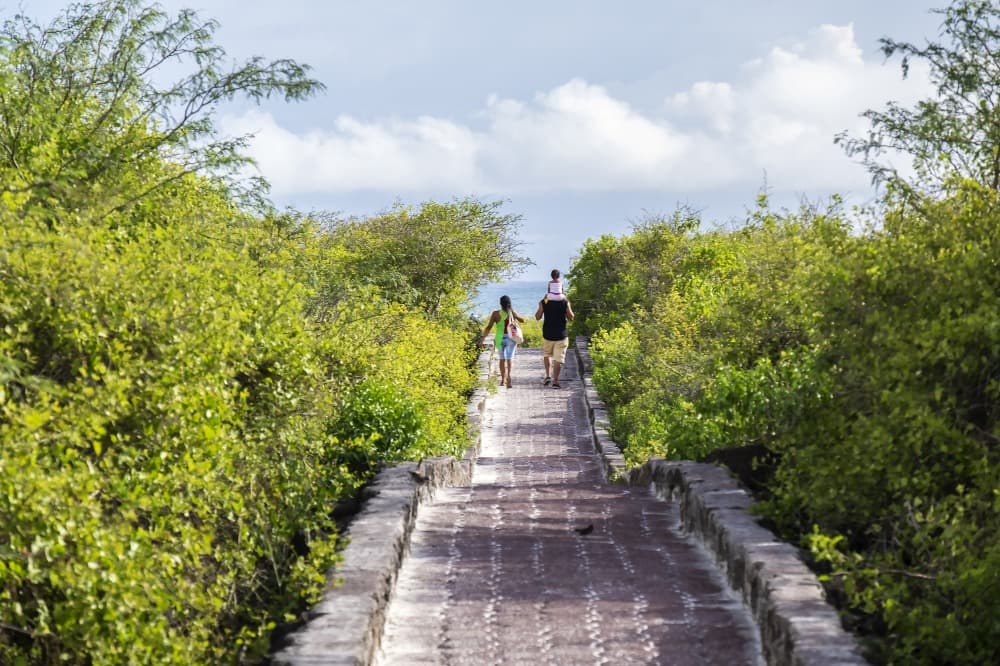 Santa Cruz Island in free discovery