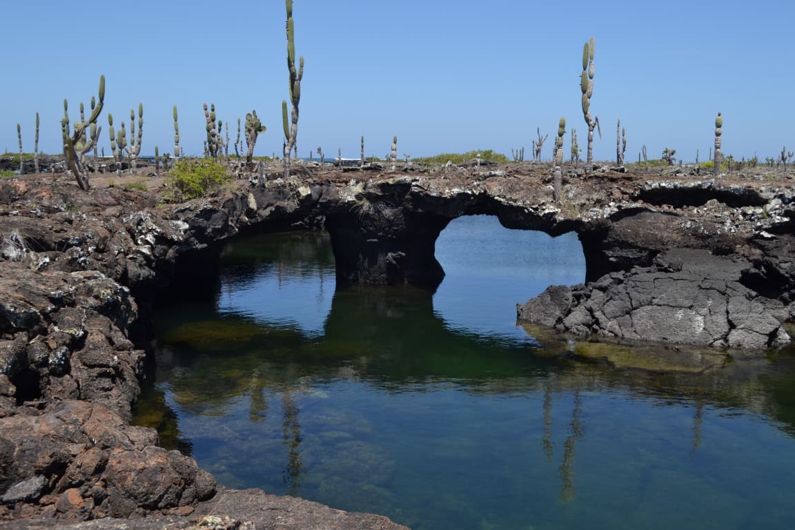 The Tunnels of Isabela