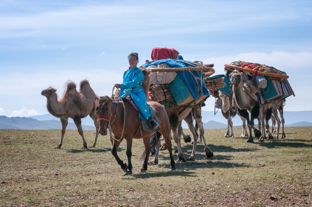 Переехать в азию. Караван кочевников Монголии. Верблюды в Монголии. Nomad в Монголии. Монгол на верблюде.